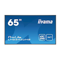 Large format display image